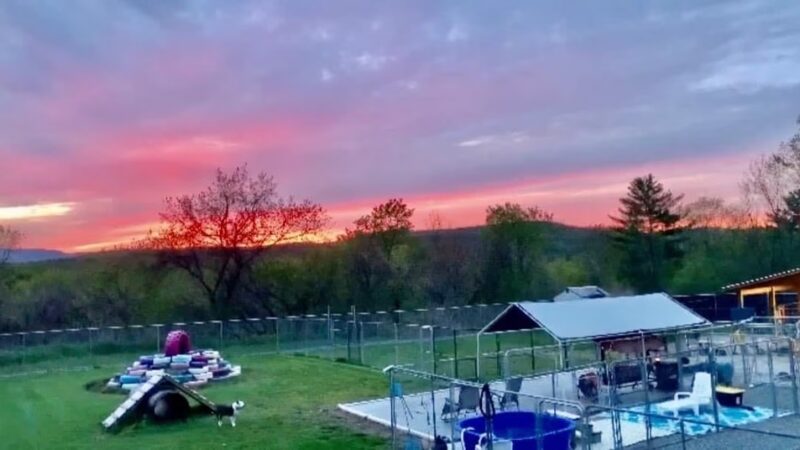 Canine Country Club - Fair Haven, VT