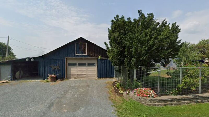 Canine Country Club - Fair Haven, VT