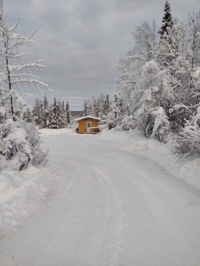 Fairbanks Dogsled rides with Two Rivers Trailblazers LLC - Fairbanks, AK
