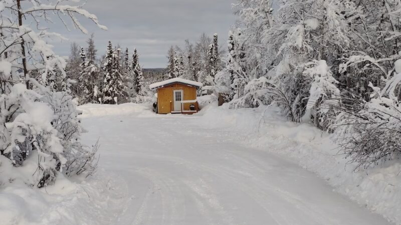 Fairbanks Dogsled rides with Two Rivers Trailblazers LLC - Fairbanks, AK