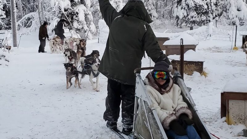 Fairbanks Dogsled rides with Two Rivers Trailblazers LLC - Fairbanks, AK