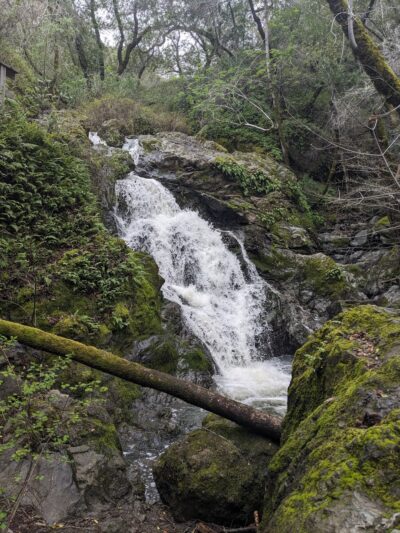 Cascade Canyon Preserve - Fairfax, CA