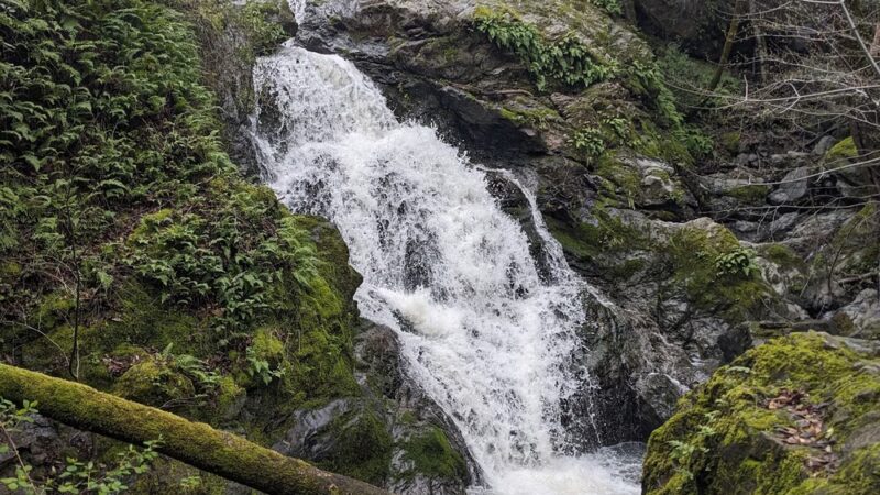 Cascade Canyon Preserve - Fairfax, CA