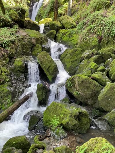 Cascade Canyon Preserve - Fairfax, CA