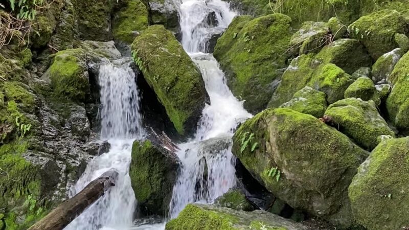Cascade Canyon Preserve - Fairfax, CA