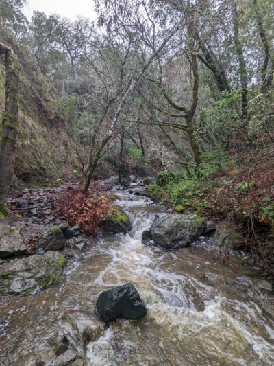 Cascade Canyon Preserve - Fairfax, CA