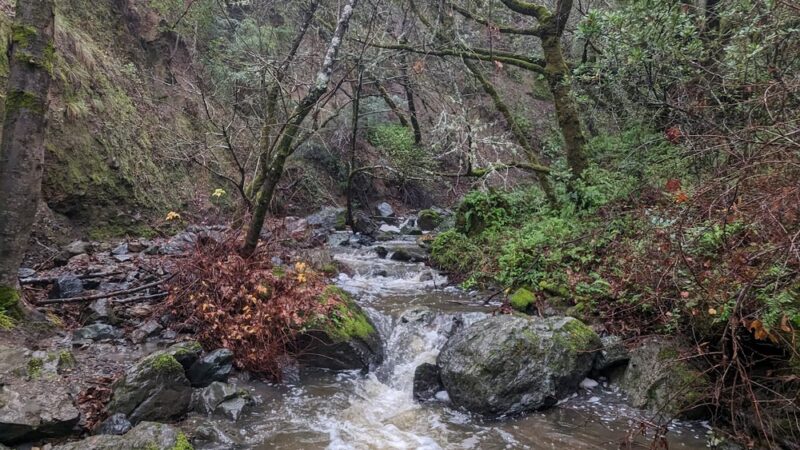 Cascade Canyon Preserve - Fairfax, CA
