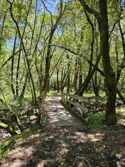 Cascade Canyon Preserve - Fairfax, CA
