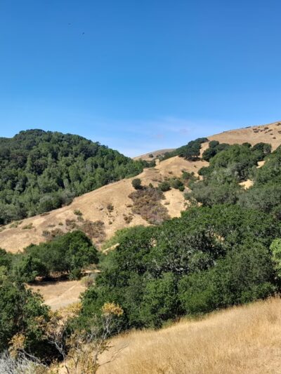 Glen Fire Road Trailhead - Fairfax, CA
