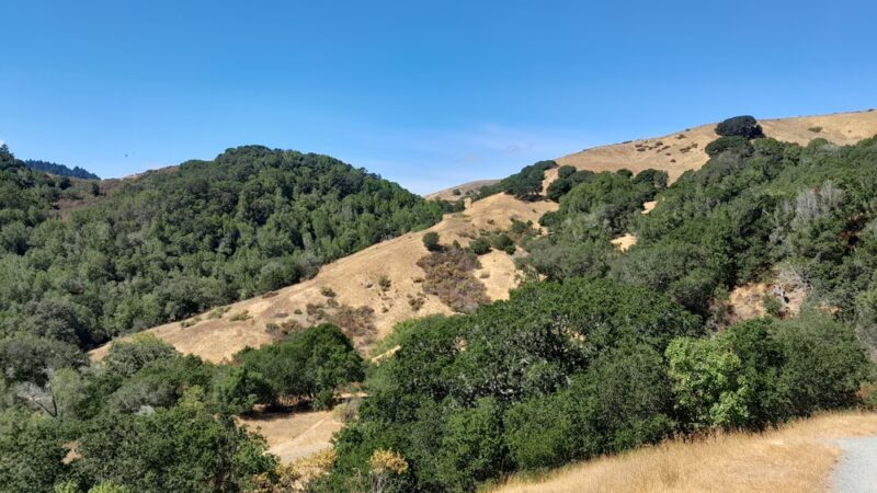 Glen Fire Road Trailhead - Fairfax, CA