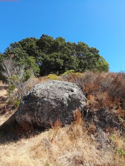 Glen Fire Road Trailhead - Fairfax, CA