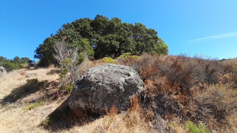 Glen Fire Road Trailhead - Fairfax, CA