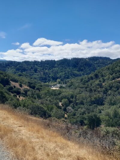 Glen Fire Road Trailhead - Fairfax, CA