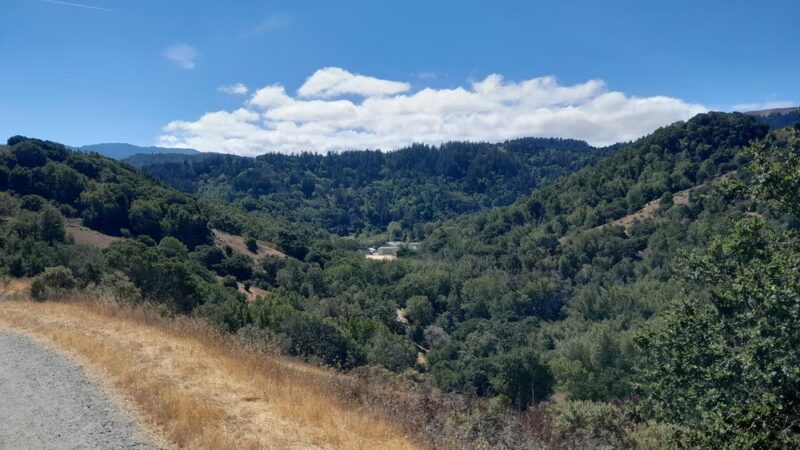 Glen Fire Road Trailhead - Fairfax, CA