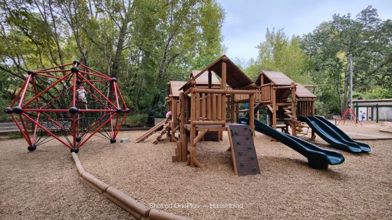 Peri Park - Fairfax, CA