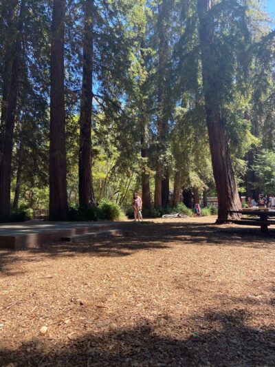 Peri Park - Fairfax, CA