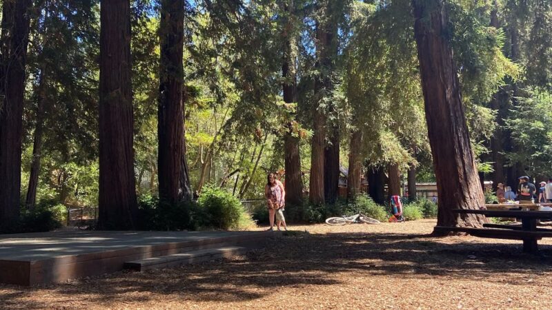Peri Park - Fairfax, CA