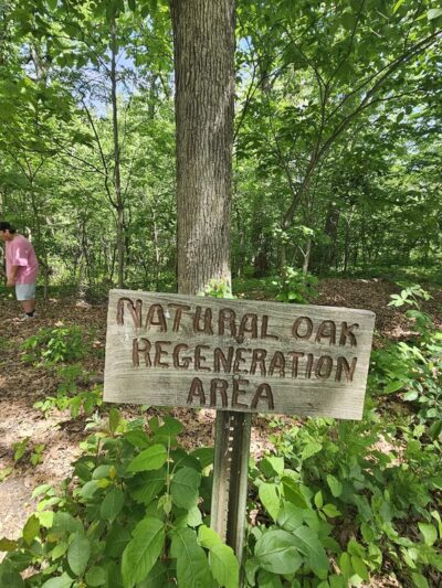 Chautauqua Park - Fairfield, IA