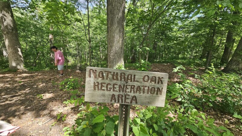Chautauqua Park - Fairfield, IA