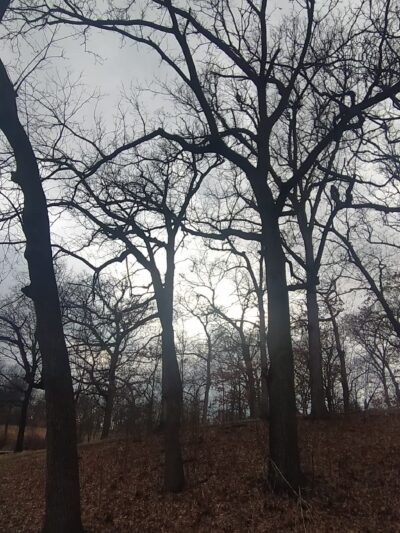 Chautauqua Park - Fairfield, IA