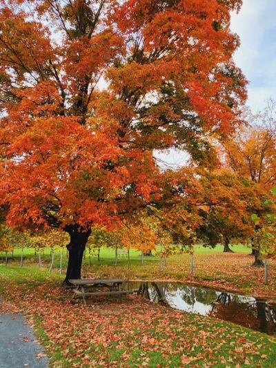 Carroll Commons - Fairfield, PA