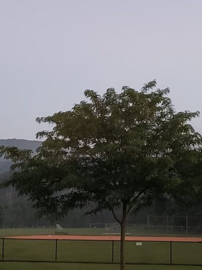 Ranch Trail Commons - Fairfield, PA