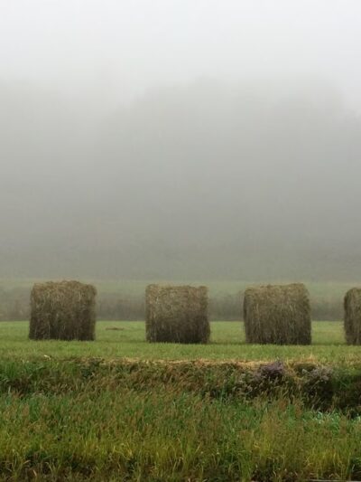 Fairlee - Fairlee, VT
