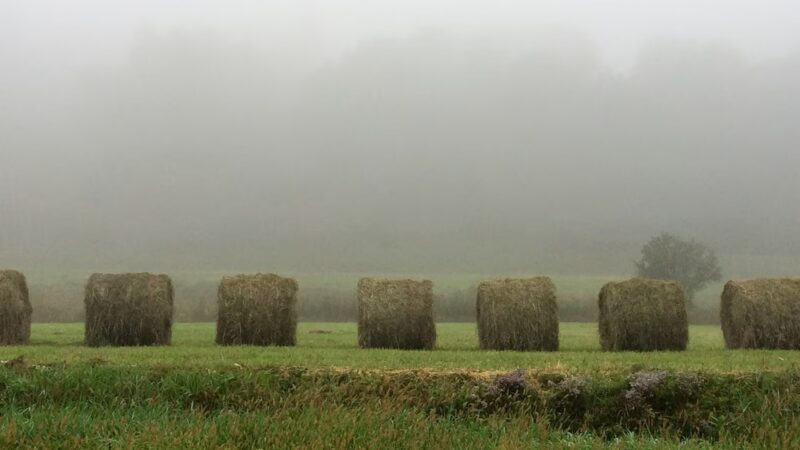 Fairlee - Fairlee, VT