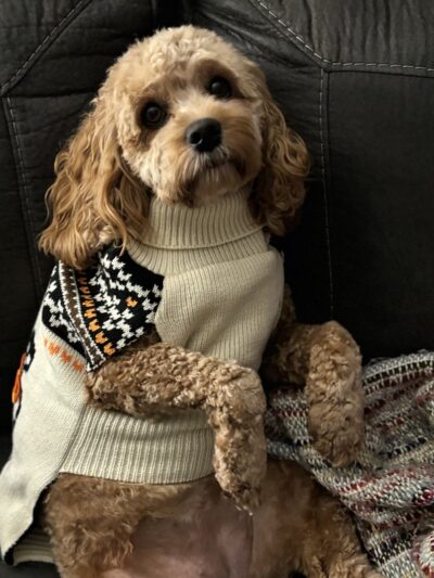 Central Bark Falls Township - Fairless Hills, PA