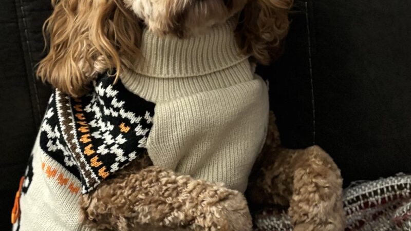 Central Bark Falls Township - Fairless Hills, PA