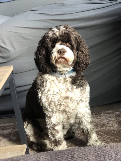 Central Bark Falls Township - Fairless Hills, PA