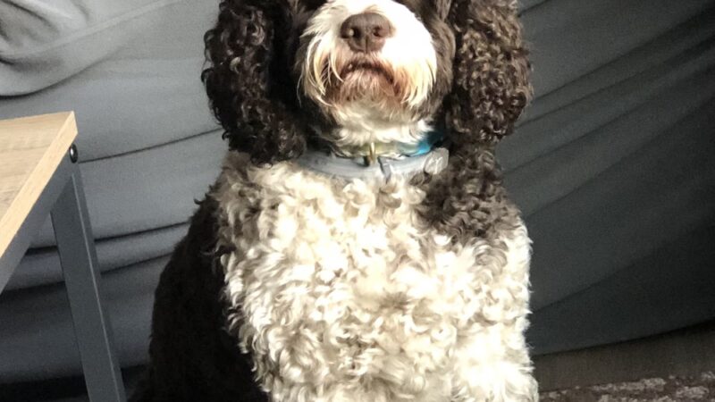 Central Bark Falls Township - Fairless Hills, PA