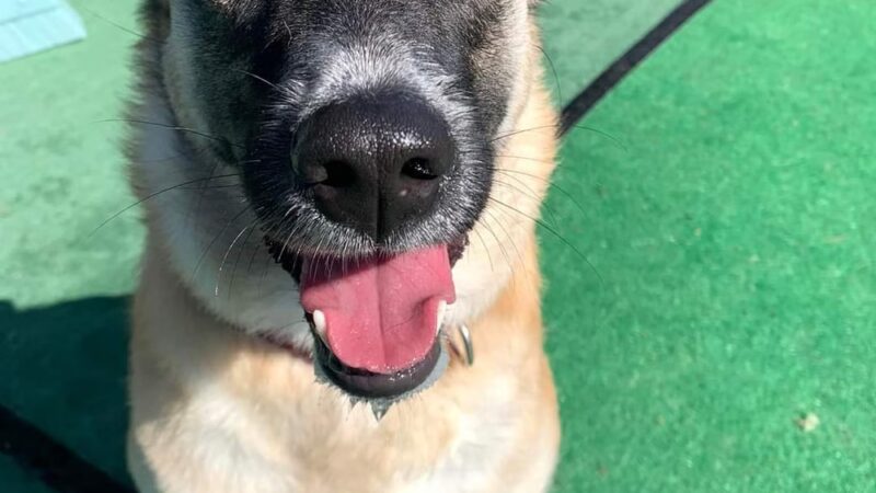 Central Bark Falls Township - Fairless Hills, PA