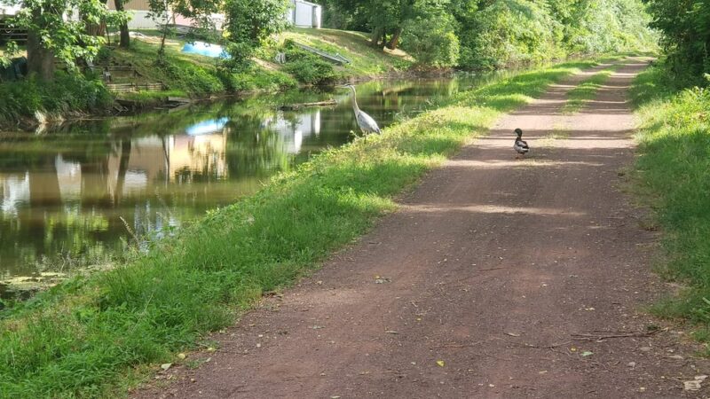 New Delaware Canal Path Tunnel - Fairless Hills, PA