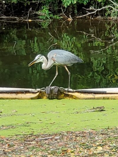 New Delaware Canal Path Tunnel - Fairless Hills, PA