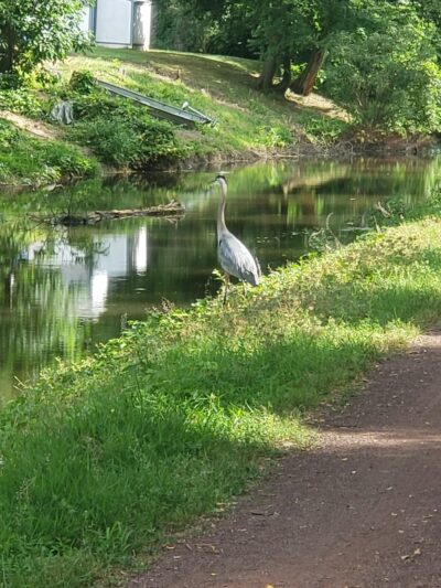 New Delaware Canal Path Tunnel - Fairless Hills, PA