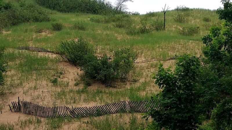 Pleasant Ridge Park - Fairview Heights, IL