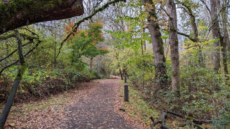 Fairview Community Park - Fairview, OR