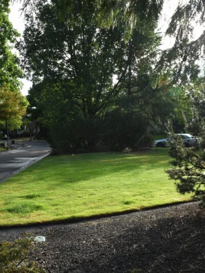 Fezett Park - Fairview, OR