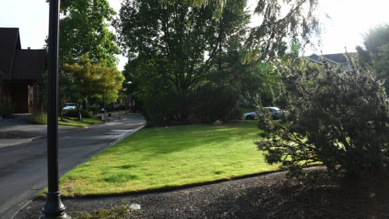 Fezett Park - Fairview, OR