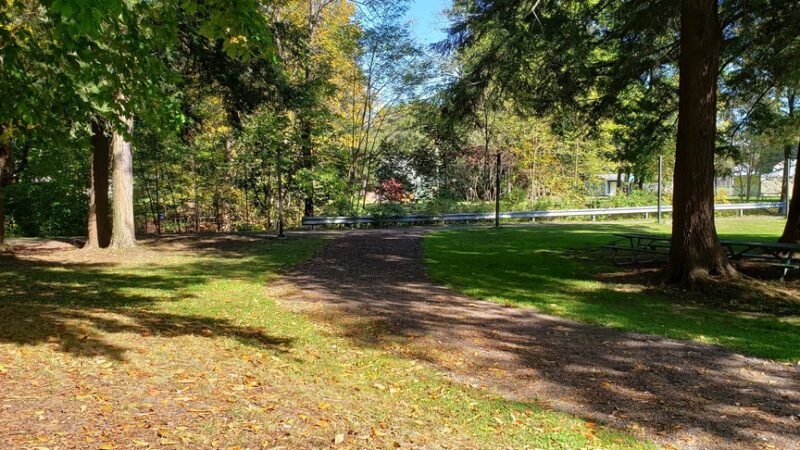Falconer Park - Falconer, NY