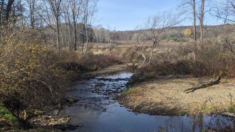 Falconer Park - Falconer, NY