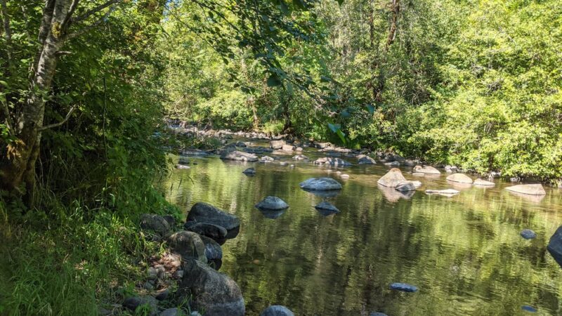 Gerlinger County Park - Falls City, OR