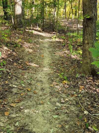 Cave Creek Campgrounds - Falls of Rough, KY