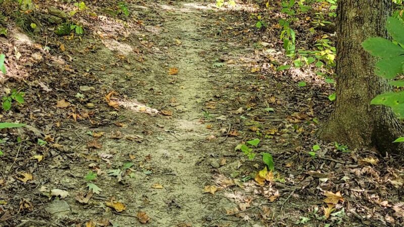 Cave Creek Campgrounds - Falls of Rough, KY