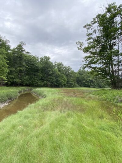 Falmouth Nature Preserve Parking - Falmouth, ME