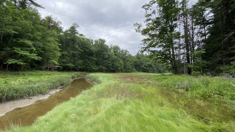 Falmouth Nature Preserve Parking - Falmouth, ME