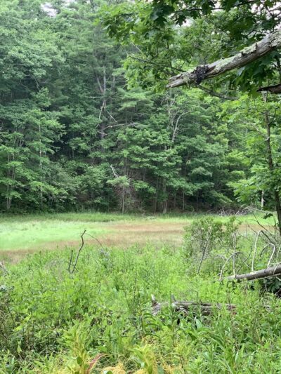 Falmouth Nature Preserve Parking - Falmouth, ME