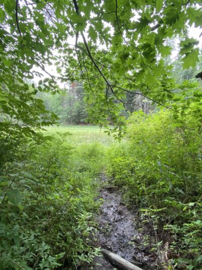 Falmouth Nature Preserve Parking - Falmouth, ME