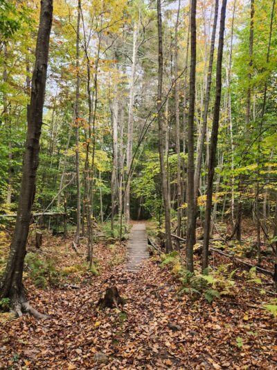 North Falmouth Community Forest Trailhead - Falmouth, ME